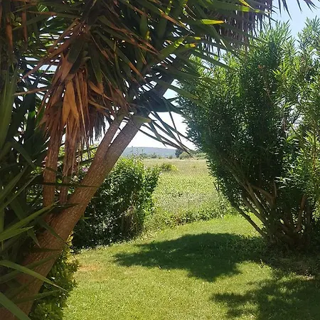 Les Alicantes 3* Coursan