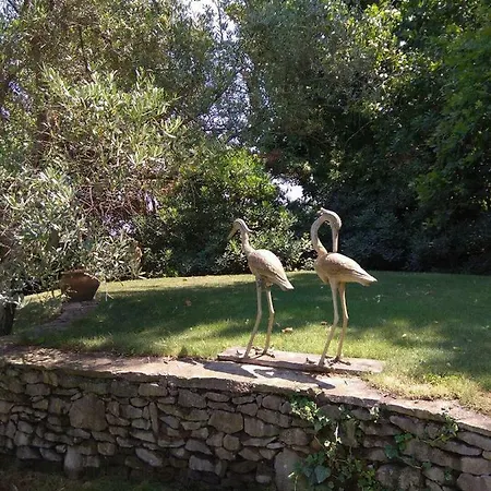 Affittacamere Les Alicantes 3*