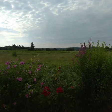 Les Alicantes Coursan